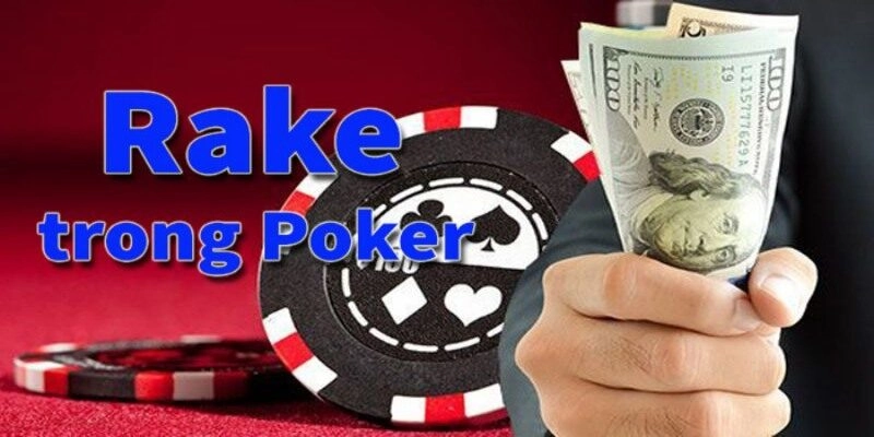 tong-quan-doi-net-ve-rake-trong-poker