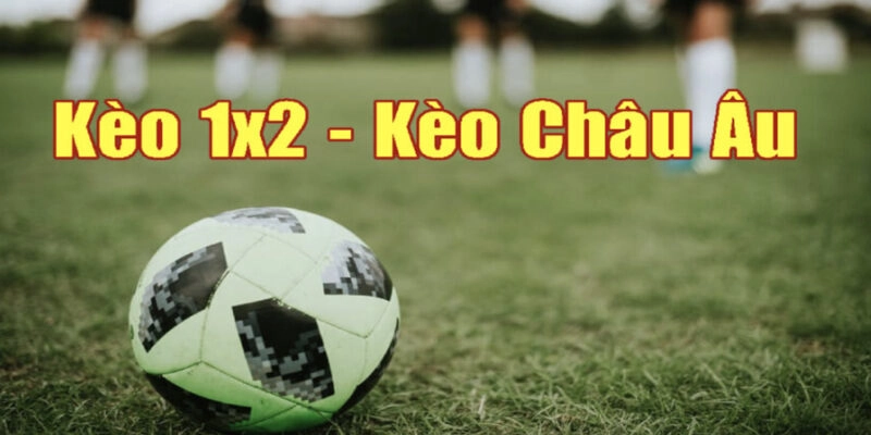 Cá độ bóng đá châu Âu rất quen thuộc